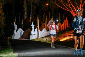 BIB: 1690
                            <button type="button" onclick="openModal(22511954)" class="btn btn-primary btn-sm float-right btn-popup" data-toggle="modal" data-target=".modal-high-quality">
                        <i class="fas fa-shopping-cart"></i> Add to Cart
                    </button>
                                            <button type="button" onclick="isThisMe(22511954, true)" class="btn btn-success btn-sm float-right btn-popup btn-isme hidden" data-toggle="tooltip" data-placement="bottom" title="นี่คือรูปของคุณใช่ไหม คลิกที่นี่เพื่อเอาเข้าอัลบั้ม">
                        <i class="fas fa-plus"></i> Add to album
                    </button>
                    <button type="button" onclick="isThisMe(22511954, false)" class="btn btn-warning btn-sm float-right btn-popup btn-isnotme hidden">
                        <i class="fas fa-ban"></i> Remove from album
                    </button>